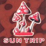 1. Various ‎– Sun Trip – Fifth, 2 x CD, Compilation