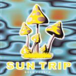 1. Various ‎– Sun Trip – Goes Fourth, 2 x CD, Compilation