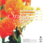 2. RMB – Spring, CD, Single