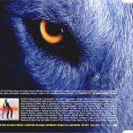 2. David Guetta Feat. Sia ‎– She Wolf (Falling To Pieces), CD, Single