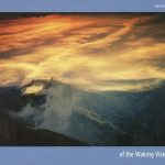 1. Waking Vision ‎– Of The Waking Vision