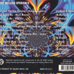 3. Various ‎– Selected House Trends Of The 90’s The Mellow Xperience