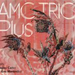 1. AMC Trio With Regina Carter & Eric Marienthal ‎– Plus