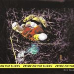 1. David Kollar ‎– Crime On The Bunny & Coronomorphia