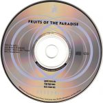 3. Fruits Of The Paradise ‎– A Man Like You, CD, Single