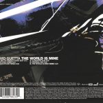 3. David Guetta Feat. JD Davis ‎– The World Is Mine