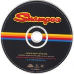 3. Shampoo ‎– I Know What Boys Like