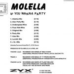 2. Molella Feat. The Outhere Brothers ‎– If You Wanna Party