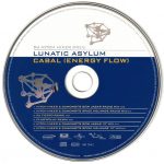 3. DJ Hitch Hiker pres. Lunatic Asylum ‎– Cabal (Energy Flow)