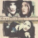 1. Wonderwall ‎– Witchcraft, CD, Album