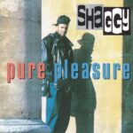 1. Shaggy – Pure Pleasure