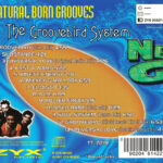 3. Natural Born Grooves – The Groovebird System, CD, Album