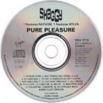 3. Shaggy – Pure Pleasure