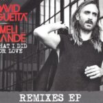 1. David Guetta Feat. Emeli Sandé – What I Did For Love (Remixes EP), Vinyl