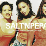 1. Saltnpepa – The Brick Track Versus Gitty Up, CD, Single