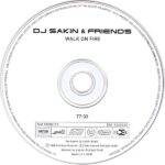 3. DJ Sakin & Friends – Walk On Fire, CD, Album