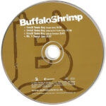 3. Buffalo Shrimp – Small Town Boy, CD, Single