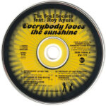 3. The Soul Society Feat. Roy Ayers – Everybody Loves The Sunshine (M3chan1cal Man Remixes), CD, Single