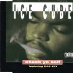 1. Ice Cube Featuring Das EFX – Check Yo Self, CD, Single