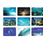 2. Pandera – Sun Splash Summerdance & Freestyle, CD, Album