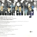 2. Backstreet Boys – Larger Than Life, CD, Single