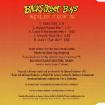 2. Backstreet Boys – We’ve Got It Goin’ On, CD, Single