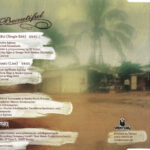 2. Nneka – Beautiful, CD, Single