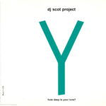 1. DJ Scot Project – Y (How Deep Is Your Love), CD, Single
